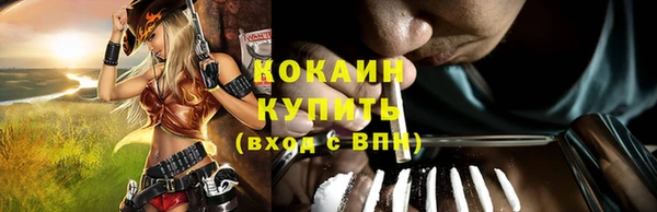 индика Навашино