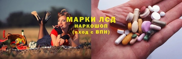 мяу мяу мука Михайловка