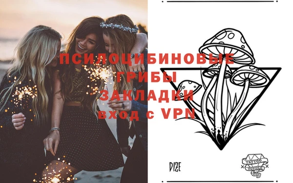 прущая мука Михайловск
